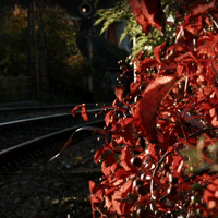 Kurzfilm My Blue Planet